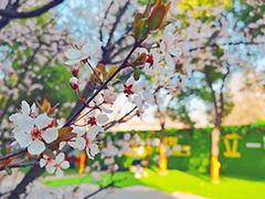 【春色入園】一起來(lái)武漢新華探尋早春里的美好！