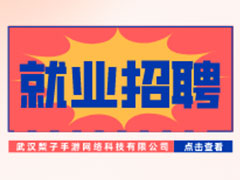 【就業招聘】武漢梨子手游網絡科技有限公司·武漢新華就業招聘信息